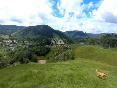 Stio para Venda, em So Pedro de Alcntara, bairro Barra da Lagoa