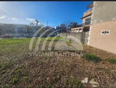 Terreno para Venda, em Florian�polis, bairro S�o Jo�o do Rio Vermelho