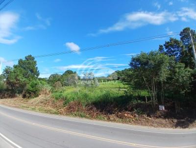 Terreno para Venda, em Florian�polis, bairro S�o Jo�o do Rio Vermelho